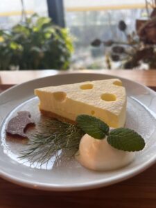 レアチーズケーキの写真