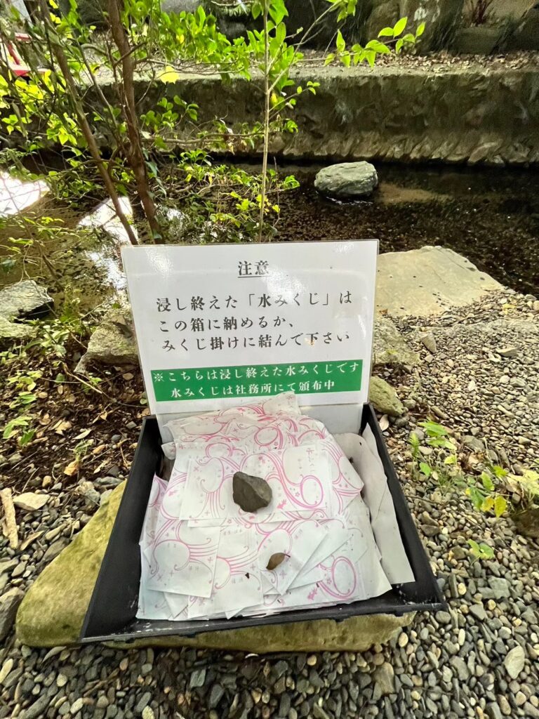 水みくじの写真