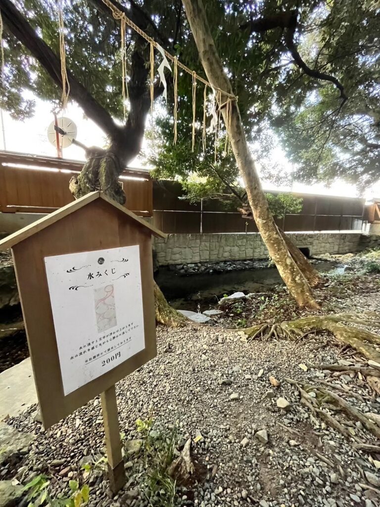 水みくじの写真